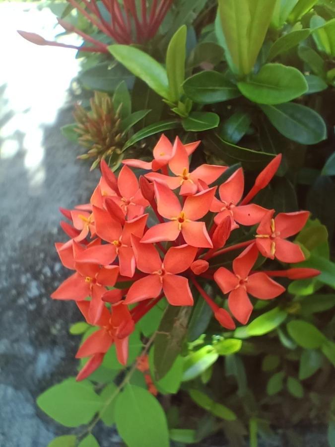 Lucky Bungalows 班柯木 外观 照片